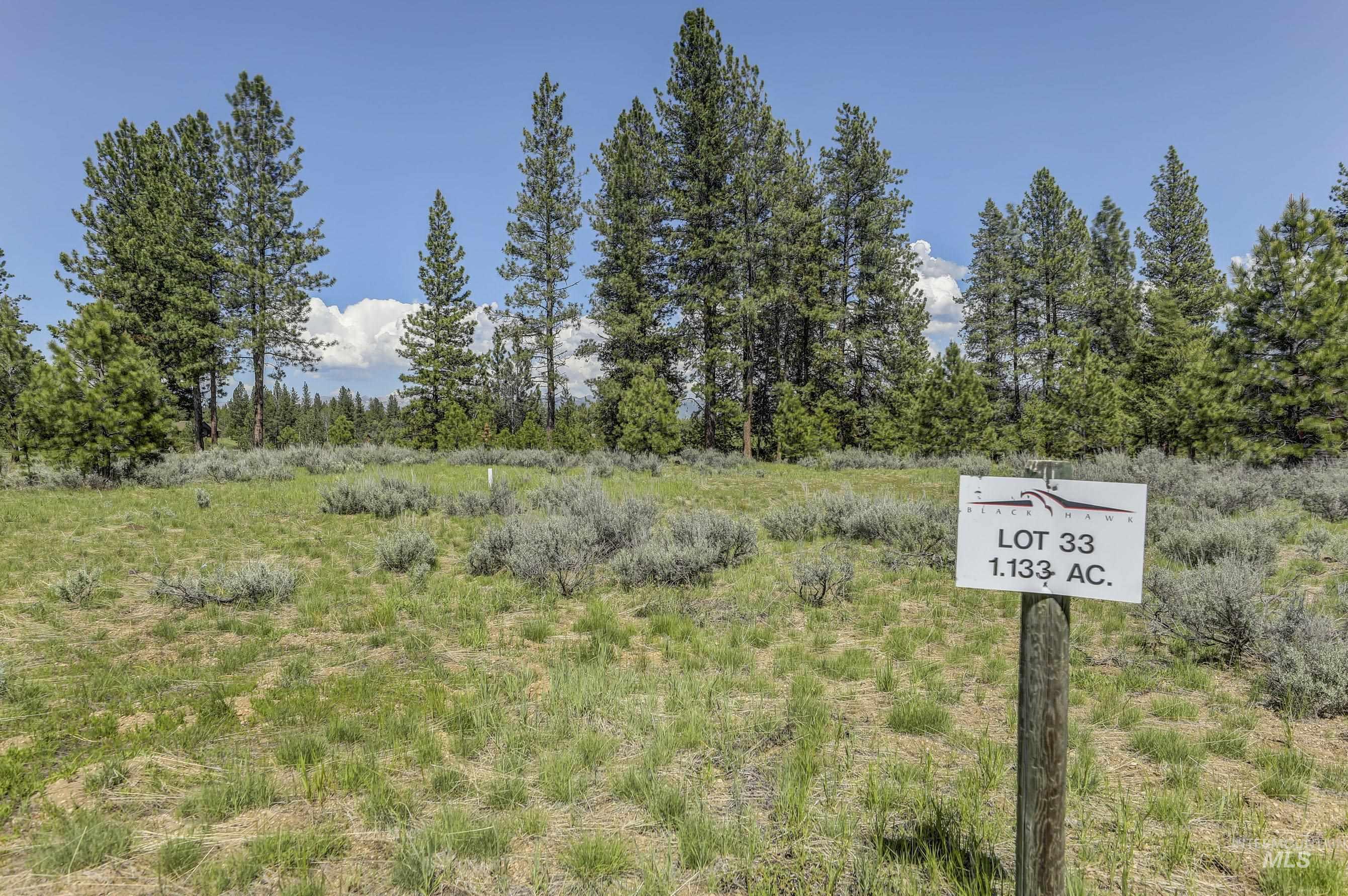 8 Targhee Court McCall, ID 83638 - Photo 4 of 34