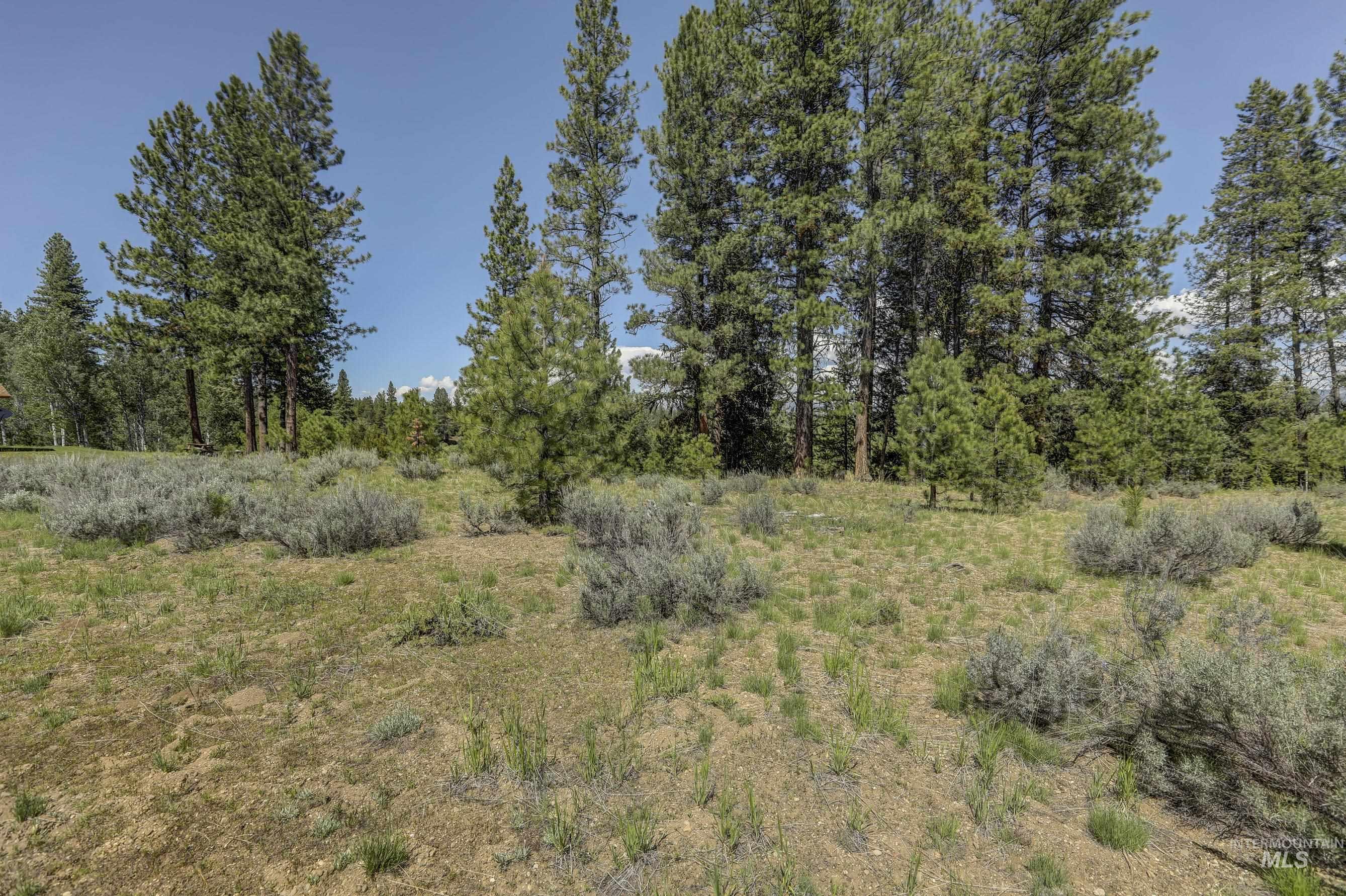 8 Targhee Court McCall, ID 83638 - Photo 6 of 34