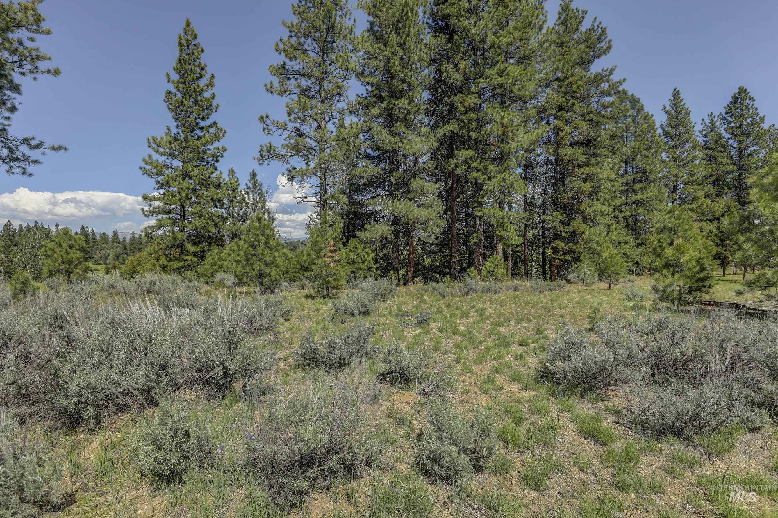 8 Targhee Court McCall, ID 83638 - Photo 7 of 34