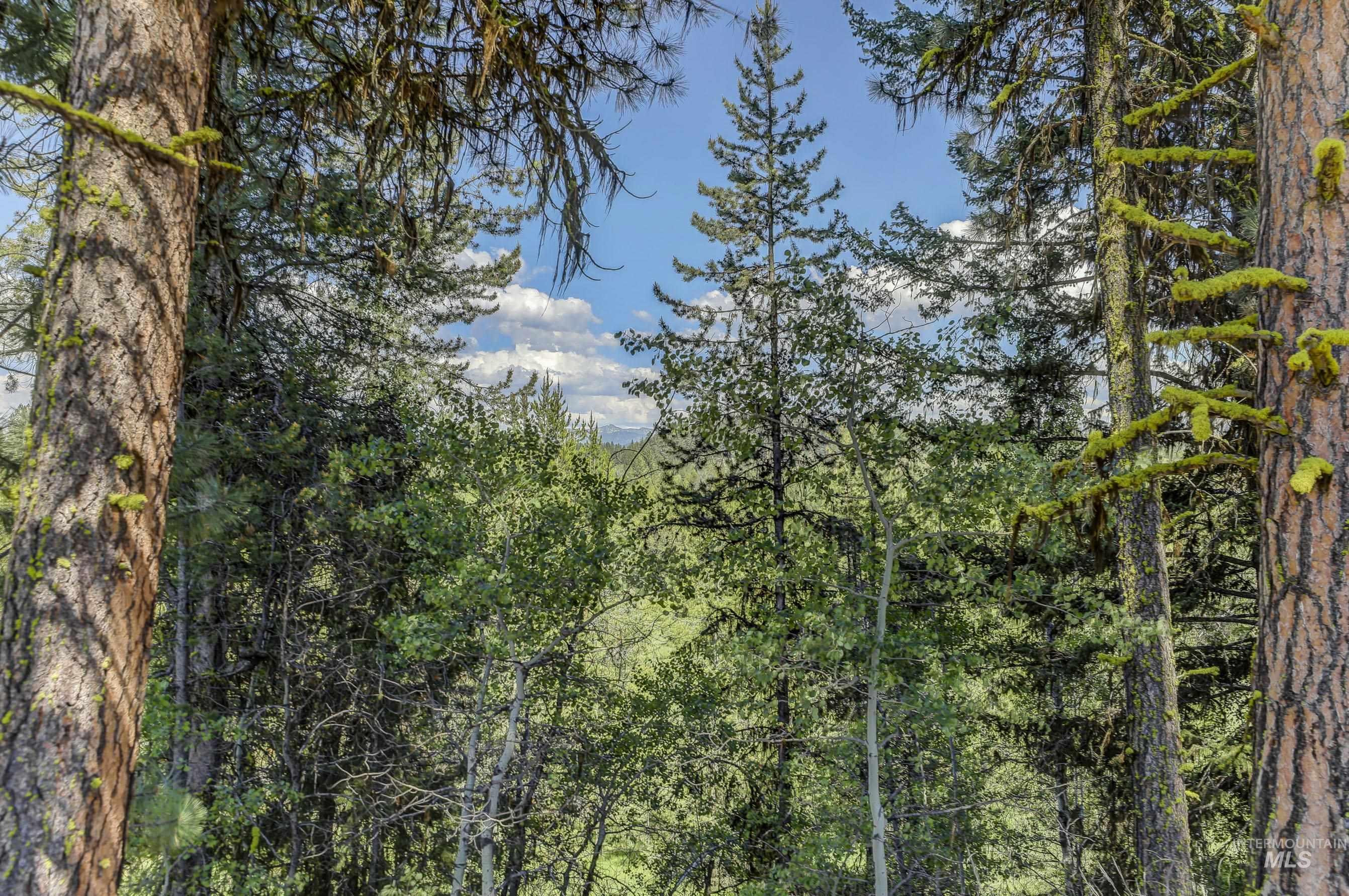 8 Targhee Court McCall, ID 83638 - Photo 8 of 34