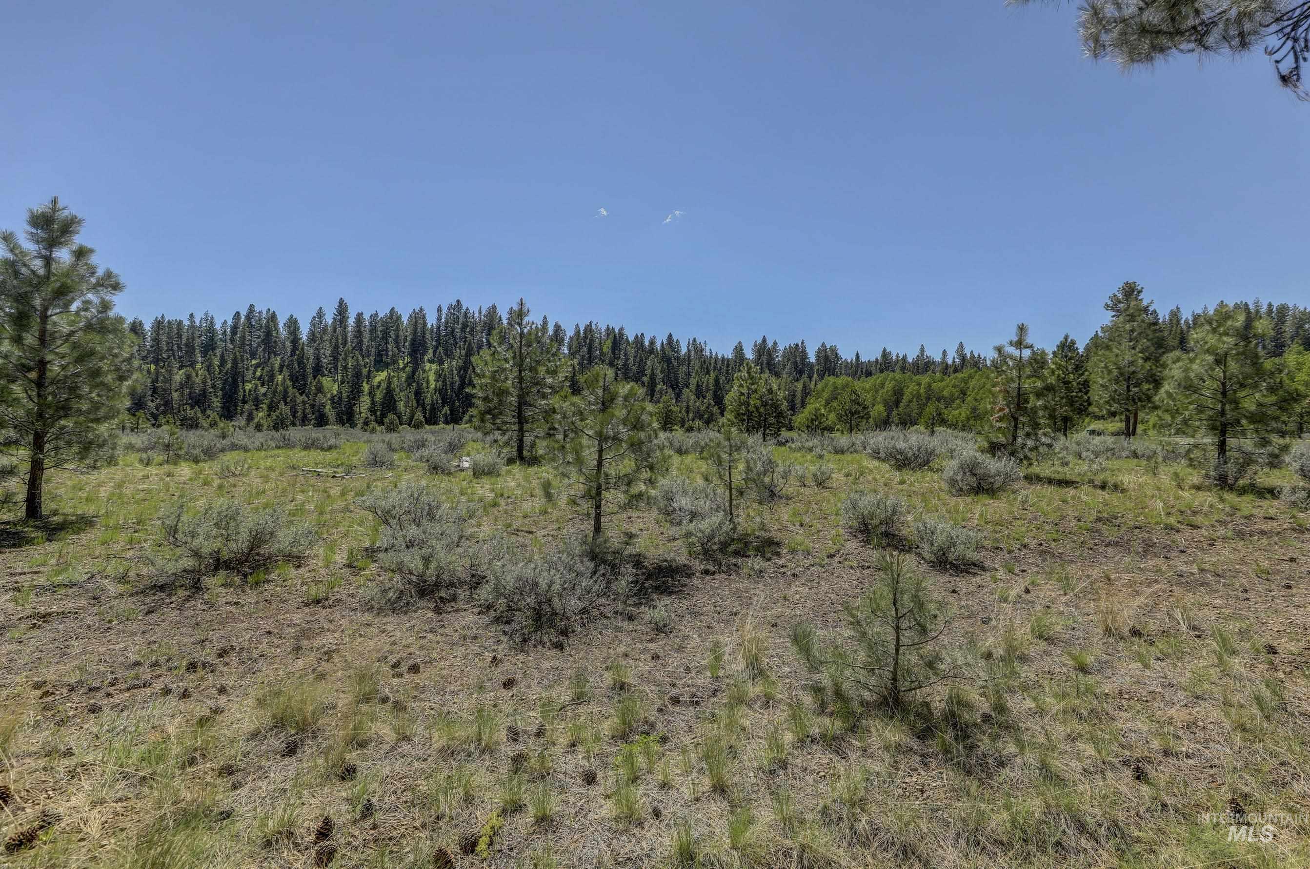 8 Targhee Court McCall, ID 83638 - Photo 9 of 34