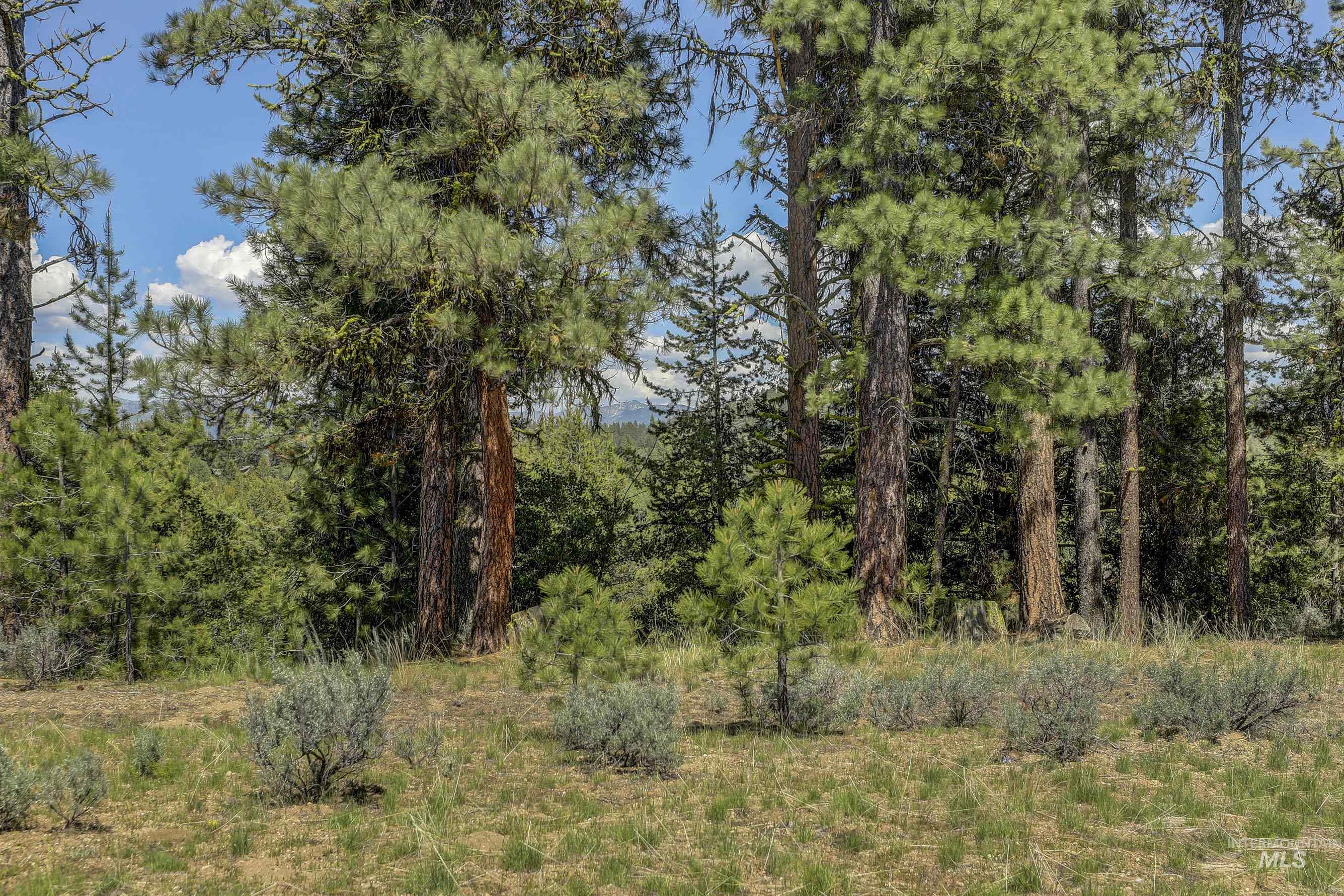 8 Targhee Court McCall, ID 83638 - Photo 10 of 34