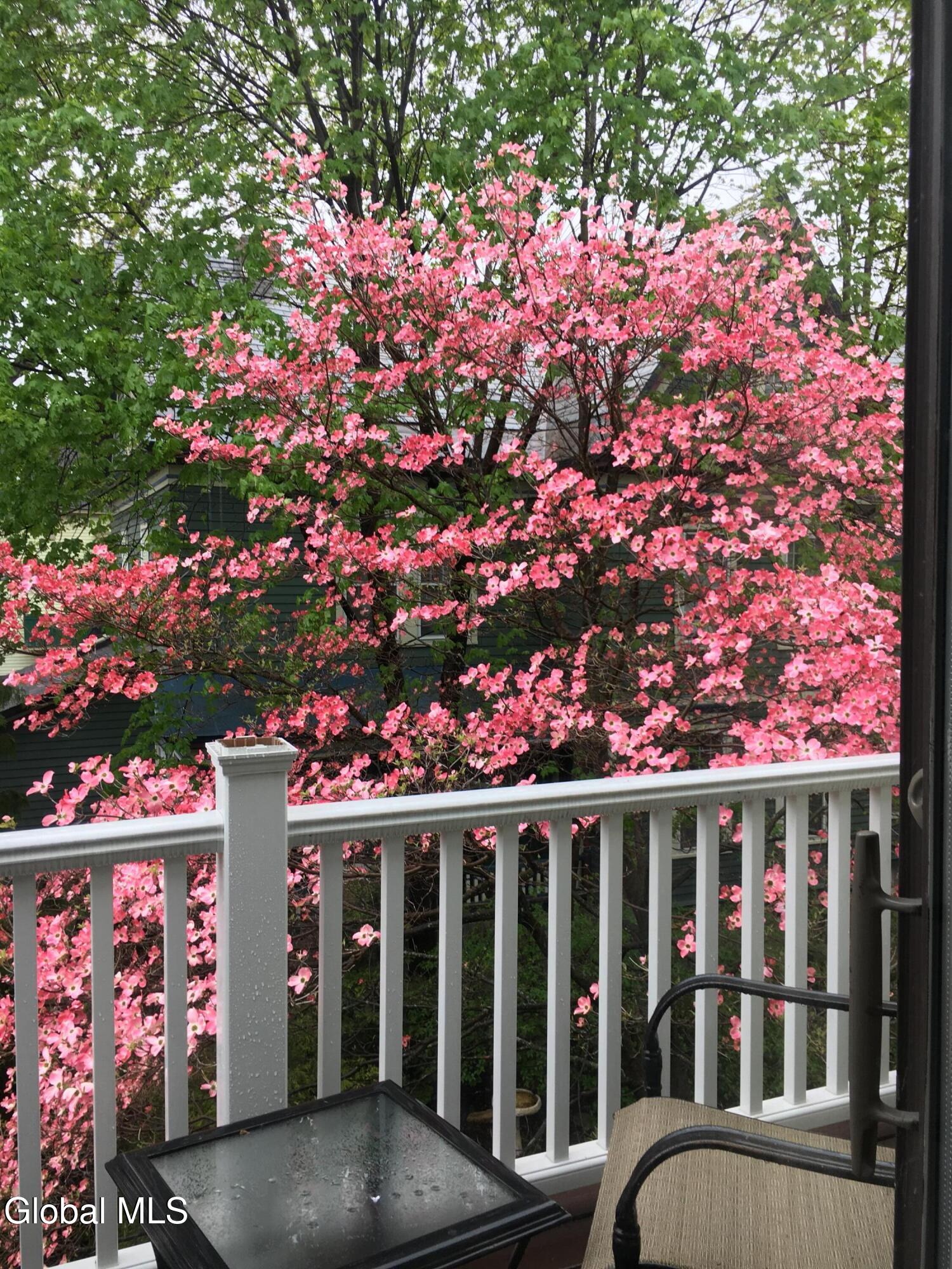 176 Spring Street Saratoga Springs, NY 12866 - Photo 39 of 41 Yard from balcony