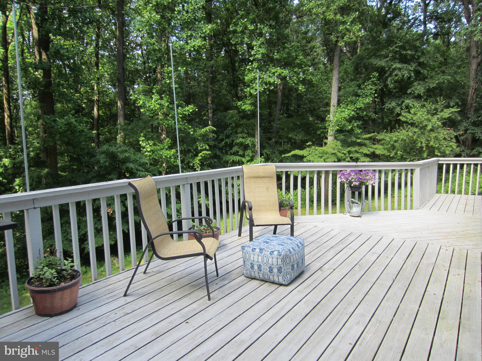 839 Brandywine Road Downingtown, PA 19335 - Photo 11 of 32 Spacious deck is accessed from Living Room...