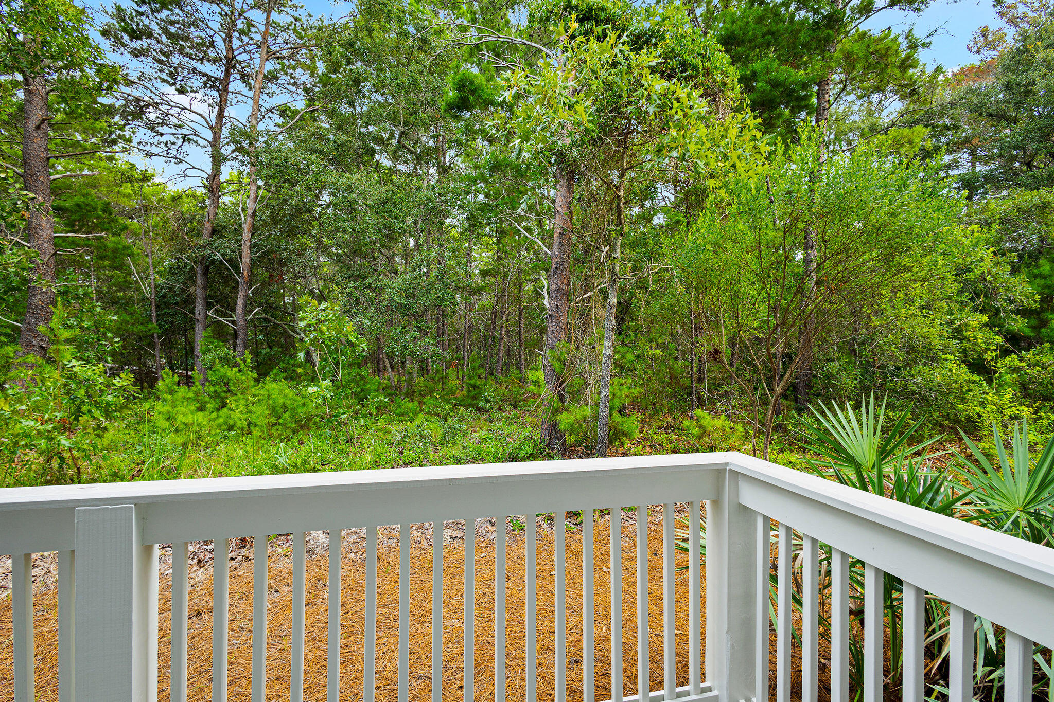 209 Milestone Dr Inlet Beach, Unit A Inlet Beach, FL 32461 - Photo 20 of 65 a view of a wooden fence
