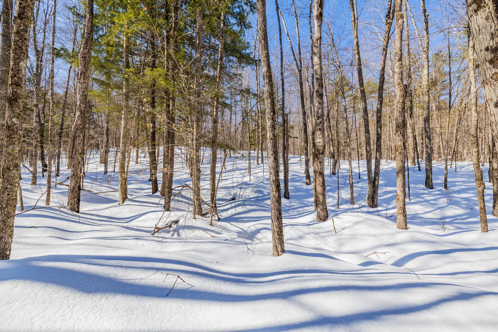 5417 Fletcher Lane, Unit 5471 Quechee, VT 05059 - Photo 2 of 11