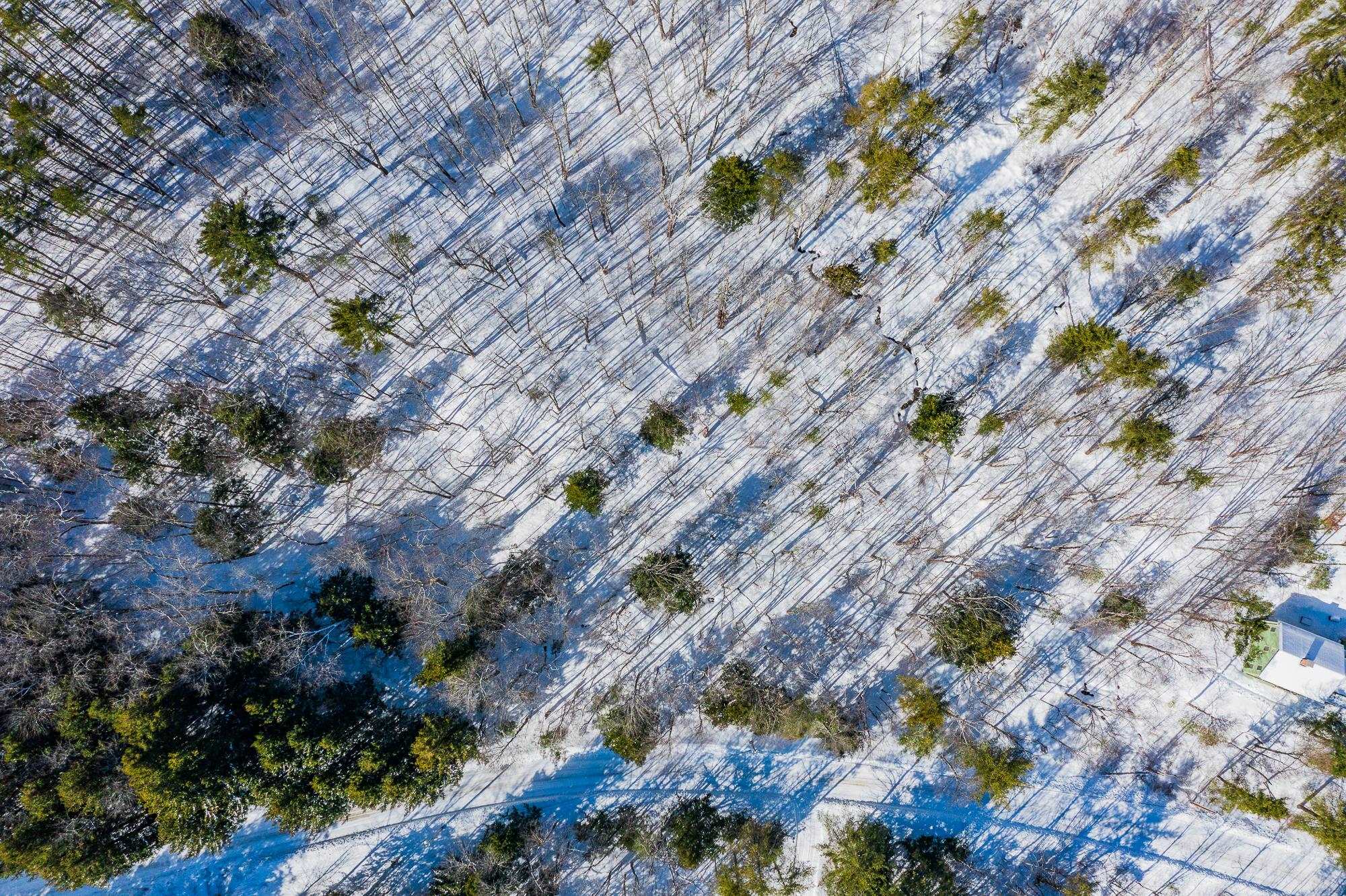 5417 Fletcher Lane, Unit 5471 Quechee, VT 05059 - Photo 7 of 11