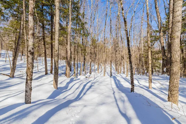 $135,000 | 5417 Fletcher Lane, Unit 5471, Quechee, VT 05059