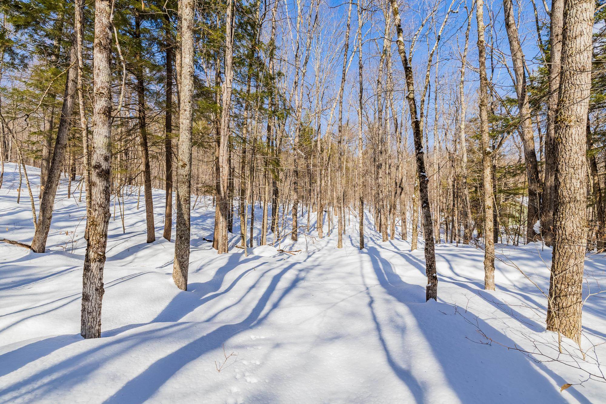 5417 Fletcher Lane, Unit 5471 Quechee, VT 05059 - Photo 8 of 11