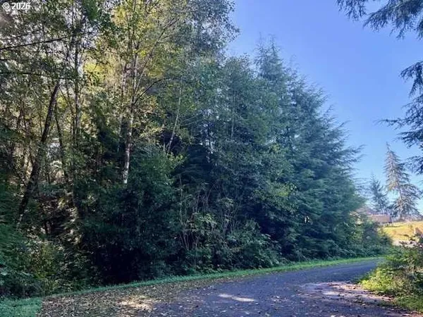 a view of a yard with plants and trees