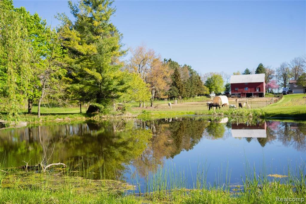 3668 Peck Road North Branch, MI 48461 - Photo 33 of 56