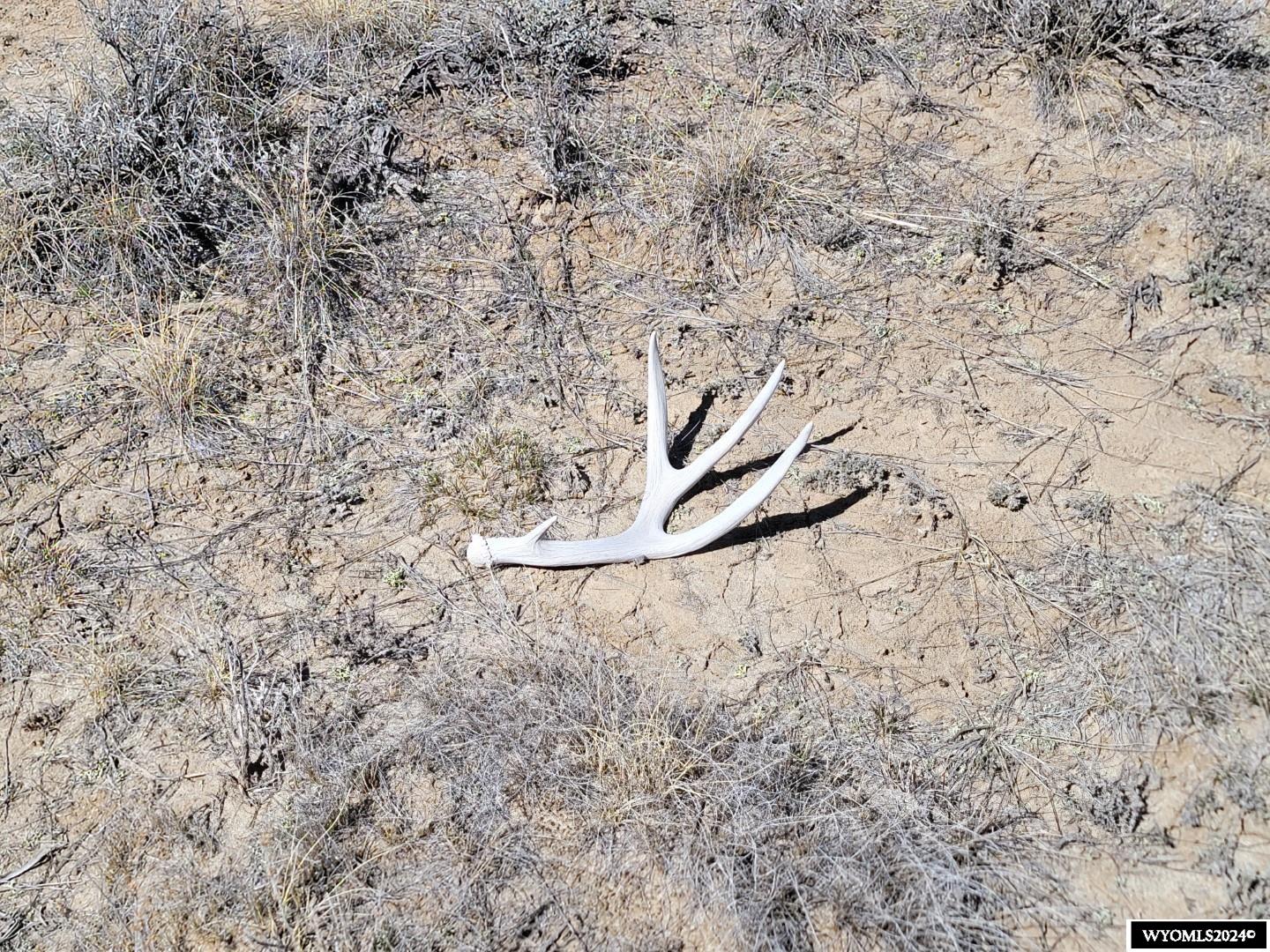 Beck Quarter Pasture Casper, WY 82646 - Photo 10 of 10