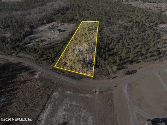 a view of a dry yard with trees