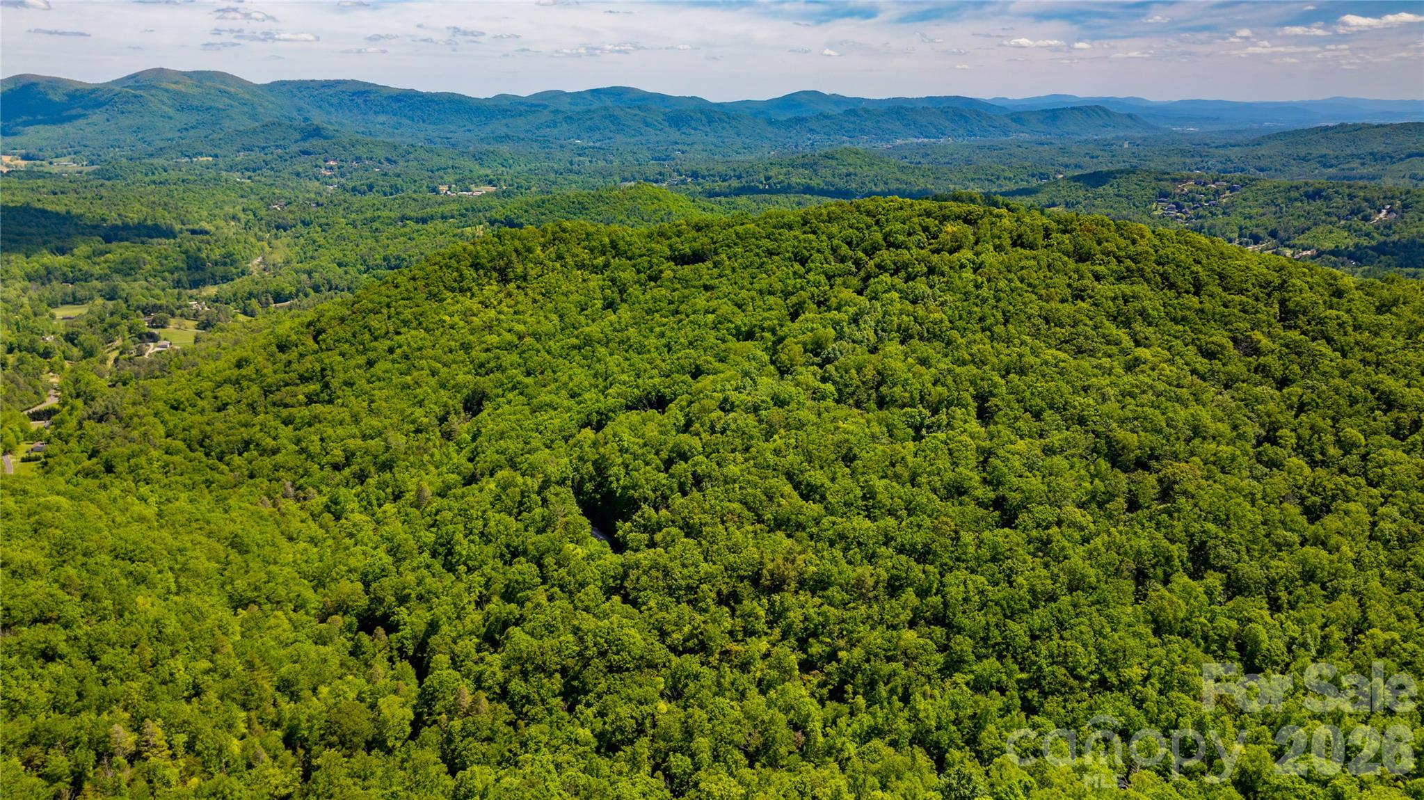 214 Ballard Creek Road Fairview, NC 28730 - Photo 7 of 18 a view of an outdoor space and a mountain in the background