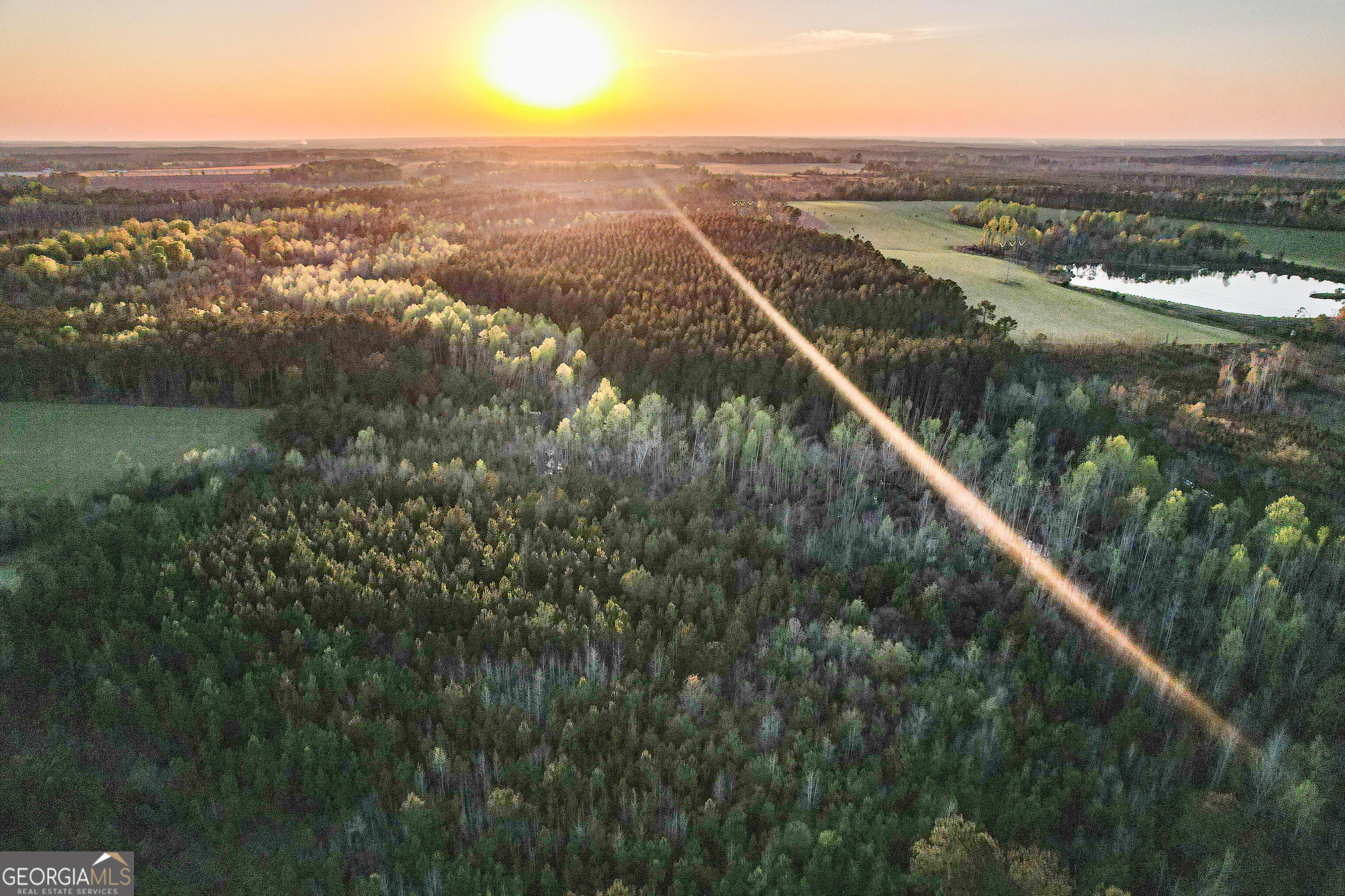 0 Dubberly Road Baxley, GA 31513 - Photo 3 of 9 view of city and river