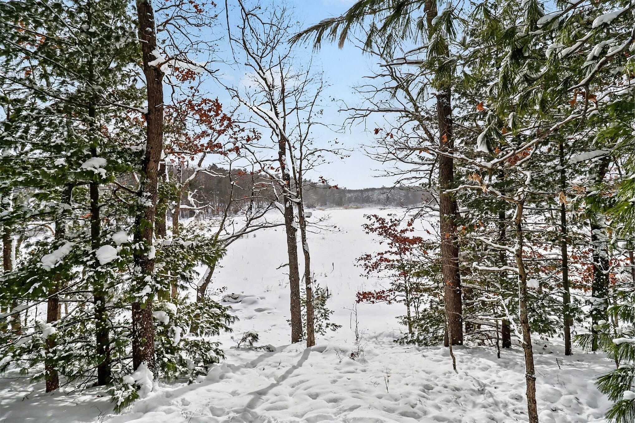 8597 West Deer Run Baldwin, MI 49304 - Photo 4 of 28 View of Rainbow Lake