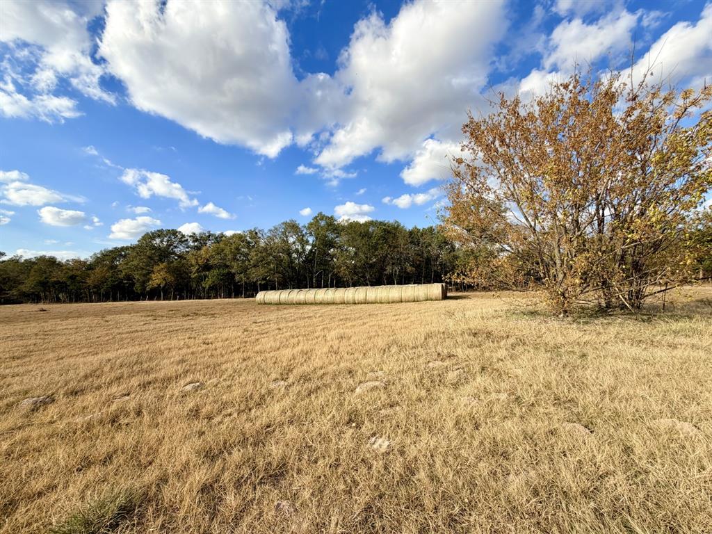 Lot #1 Tbd State Highway Emory, TX 75440 - Photo 11 of 18