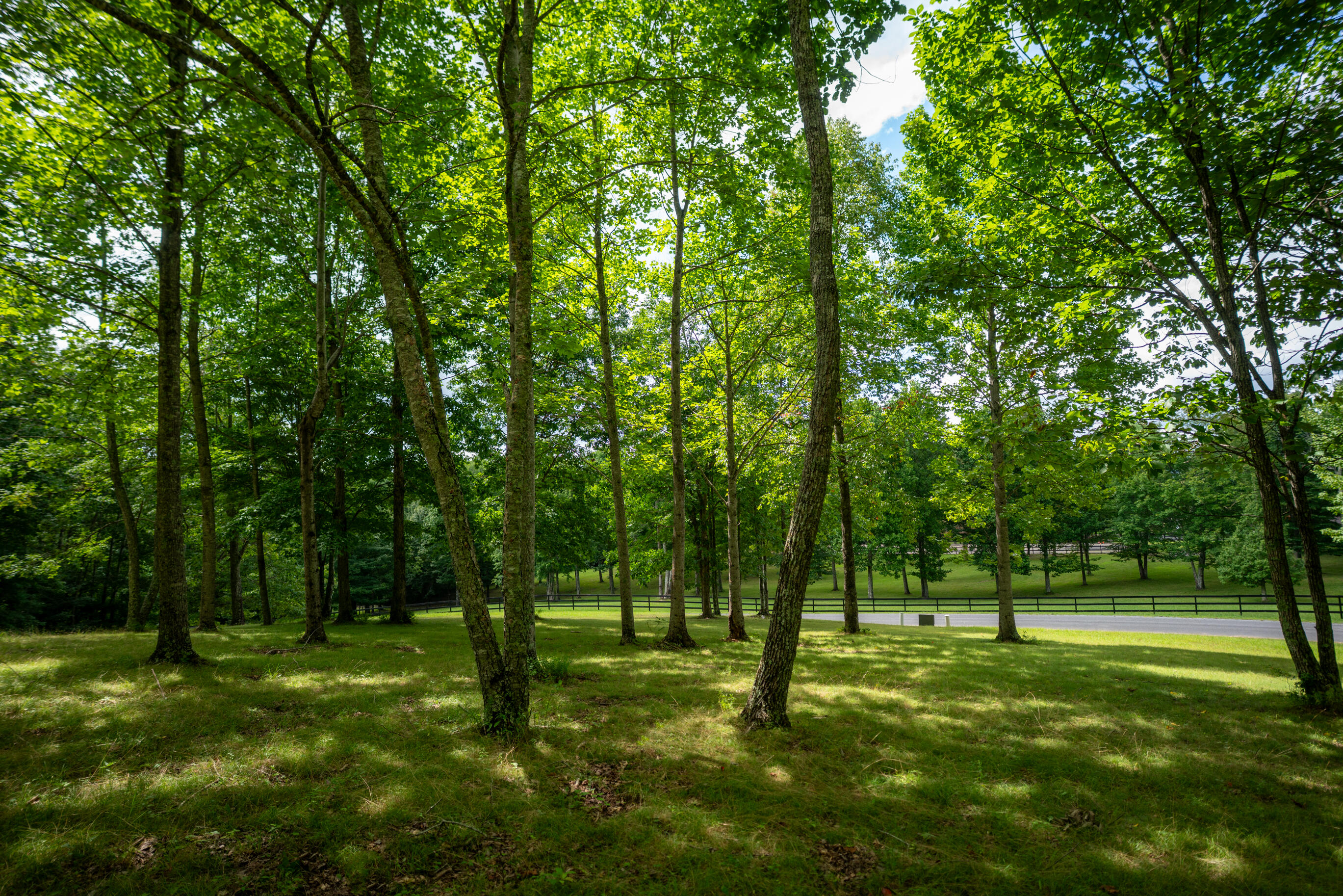 243 Roaring Creek Road Dunlap, TN 37327 - Photo 23 of 27 _DSC2445-Edit