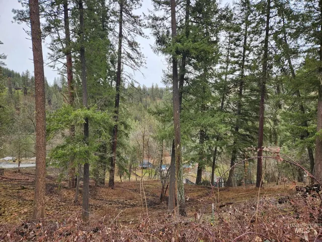 $80,000 | Tbd Tbd Elwood Street, Peck, ID 83545