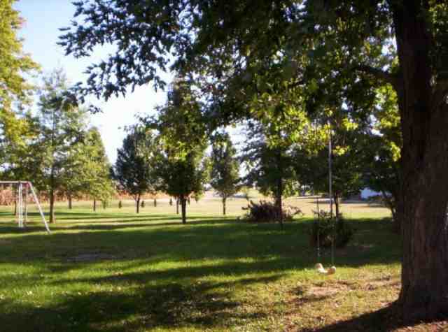 139 5th Street Andover, IL 61238 - Photo 7 of 8 Gallery Image 7