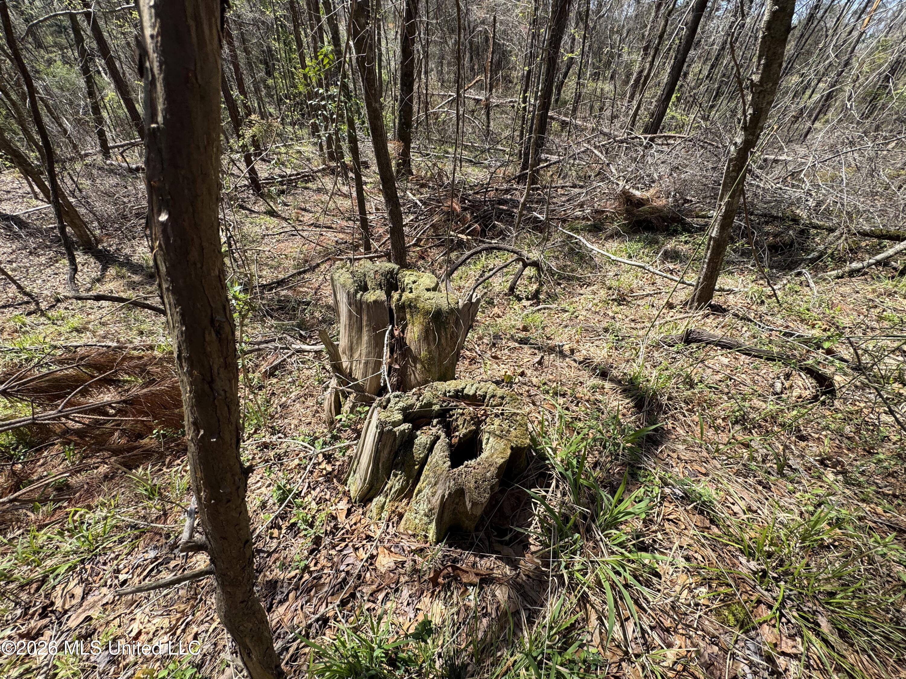 0 North Circle Road Lexington, MS 39095 - Photo 11 of 13 IMG_9310