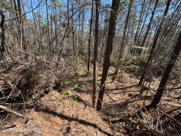 $63,750 | 0 North Circle Road, Lexington, MS 39095