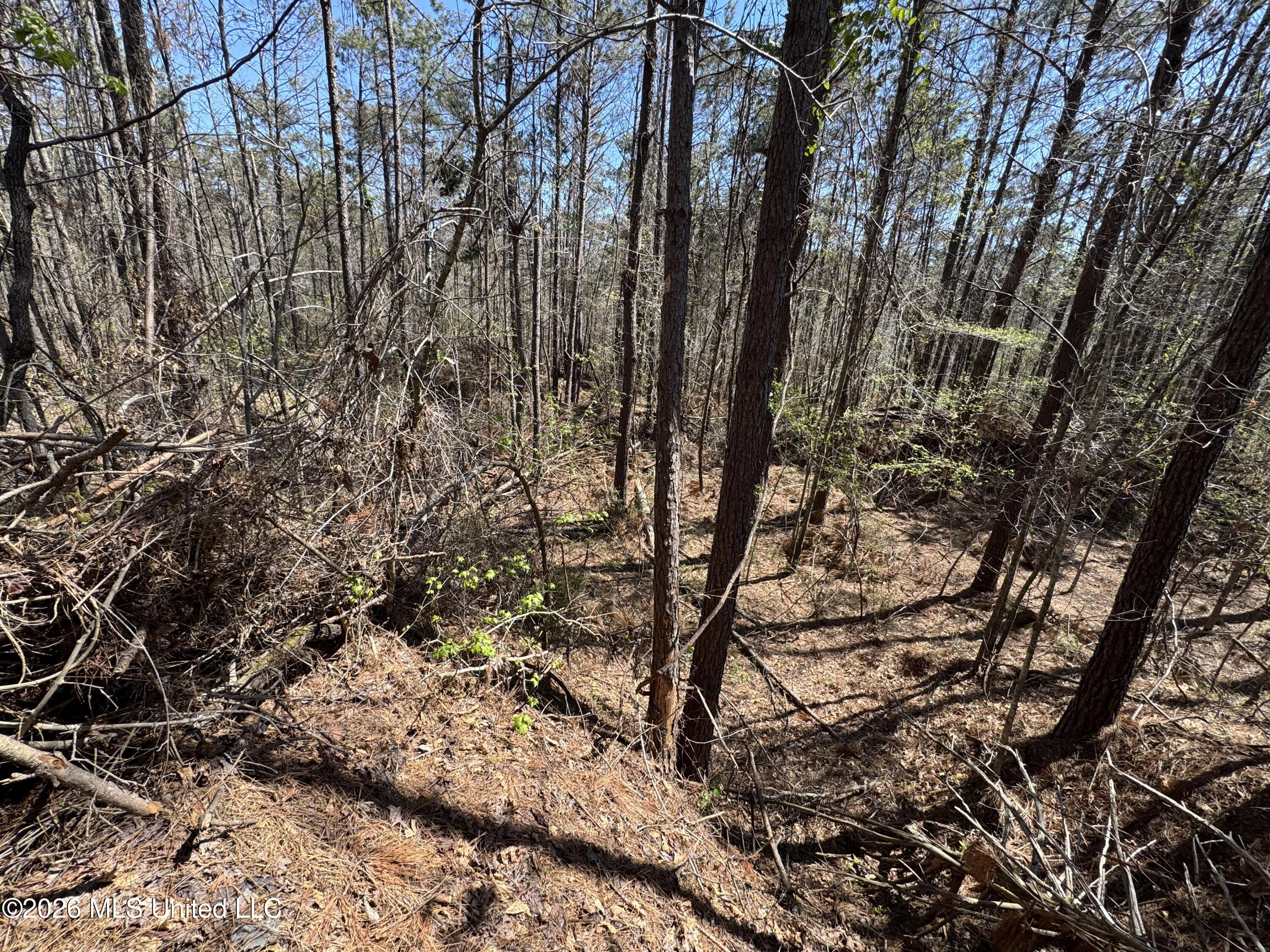 0 North Circle Road Lexington, MS 39095 - Photo 12 of 13 IMG_9313