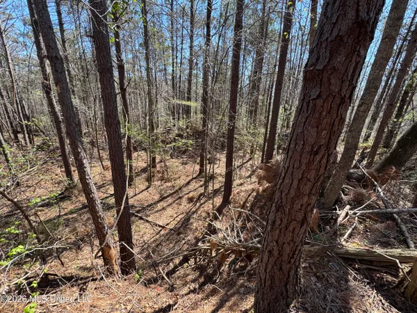 $63,750 | 0 North Circle Road, Lexington, MS 39095