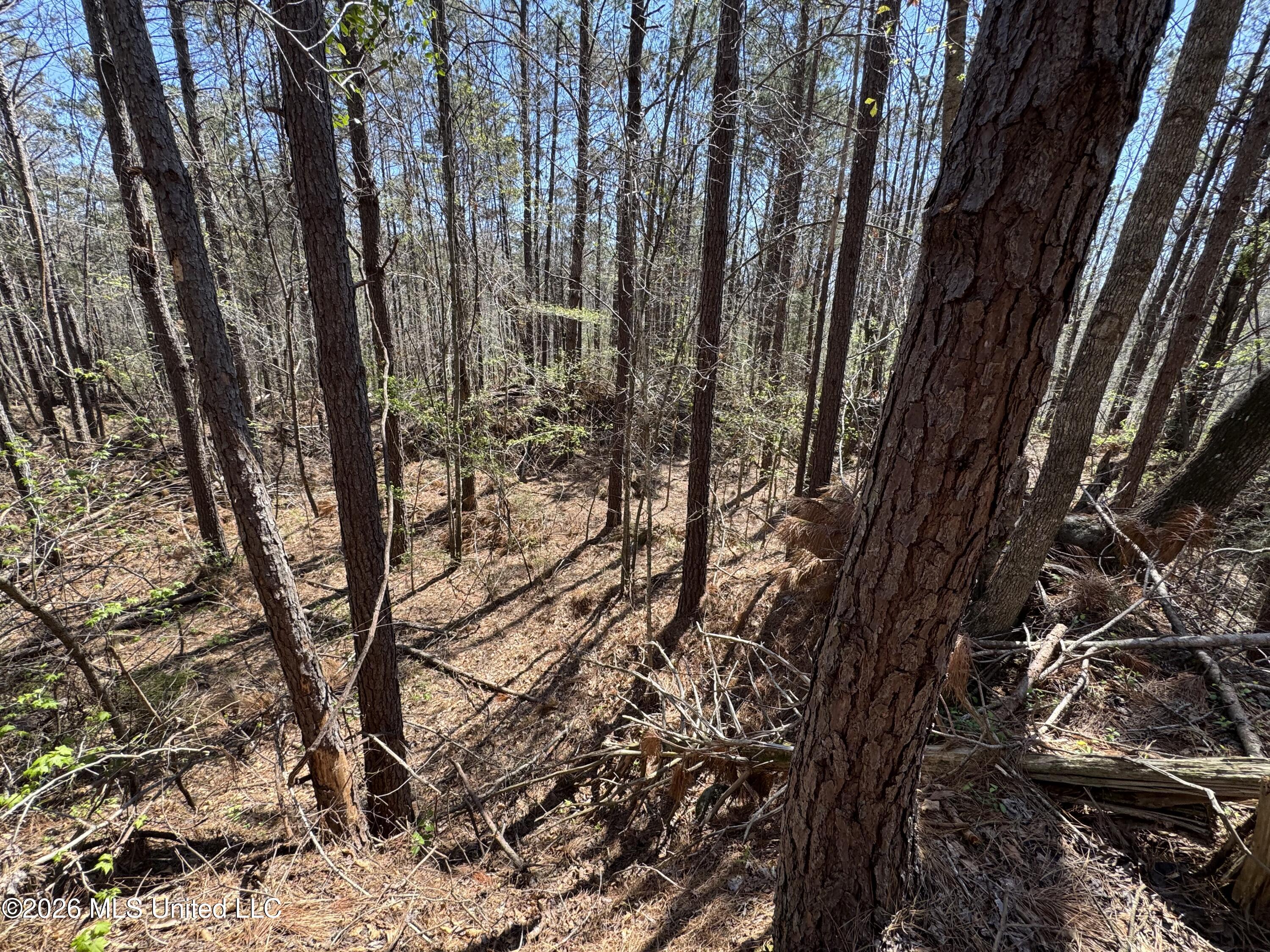 0 North Circle Road Lexington, MS 39095 - Photo 13 of 13 IMG_9314