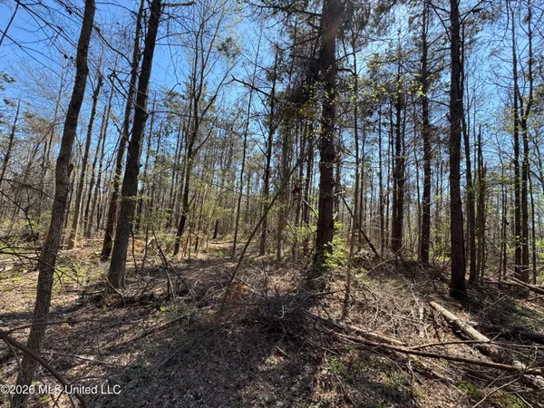$63,750 | 0 North Circle Road, Lexington, MS 39095