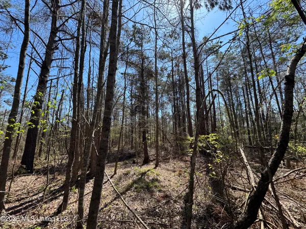 $63,750 | 0 North Circle Road, Lexington, MS 39095