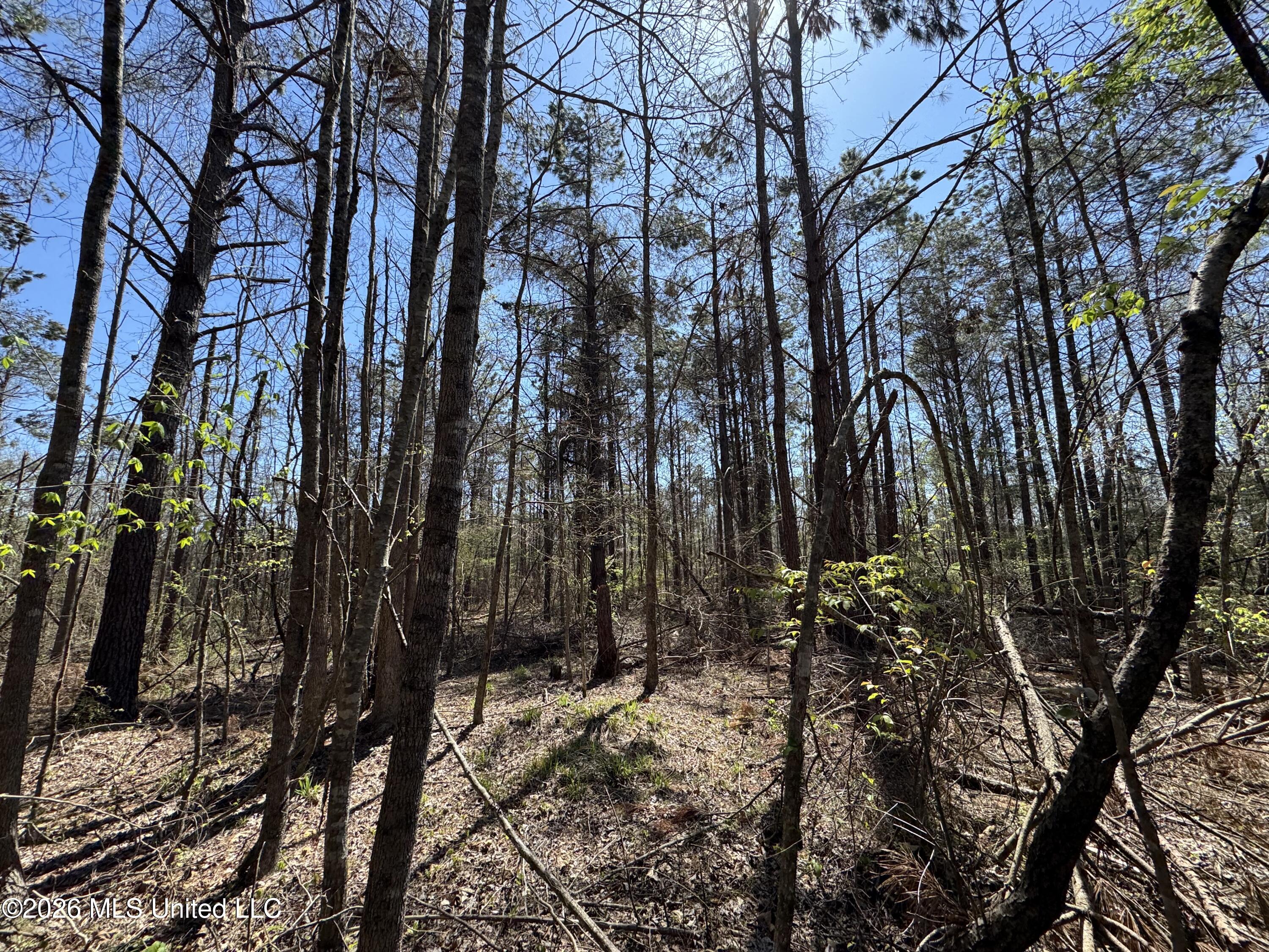 0 North Circle Road Lexington, MS 39095 - Photo 4 of 13 IMG_9305