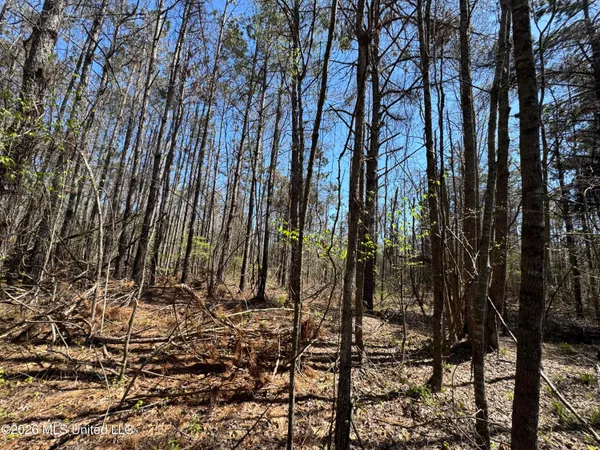 $63,750 | 0 North Circle Road, Lexington, MS 39095