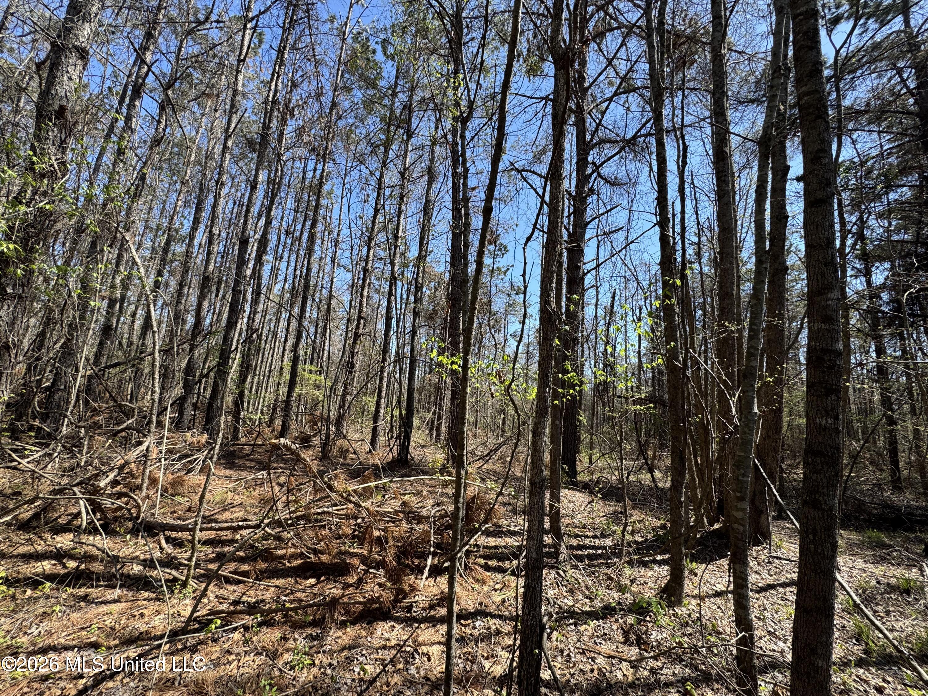 0 North Circle Road Lexington, MS 39095 - Photo 5 of 13 IMG_9304