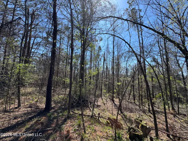 $63,750 | 0 North Circle Road, Lexington, MS 39095