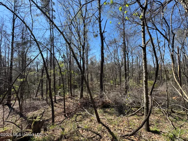 $63,750 | 0 North Circle Road, Lexington, MS 39095
