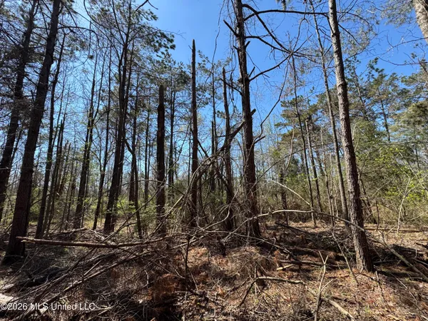 $63,750 | 0 North Circle Road, Lexington, MS 39095