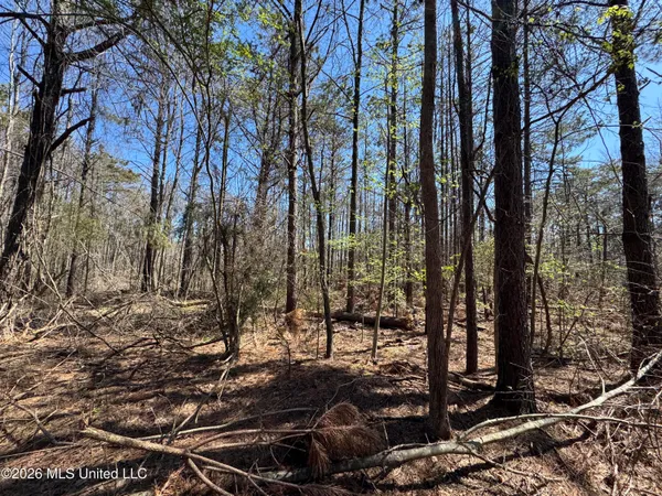 $63,750 | 0 North Circle Road, Lexington, MS 39095