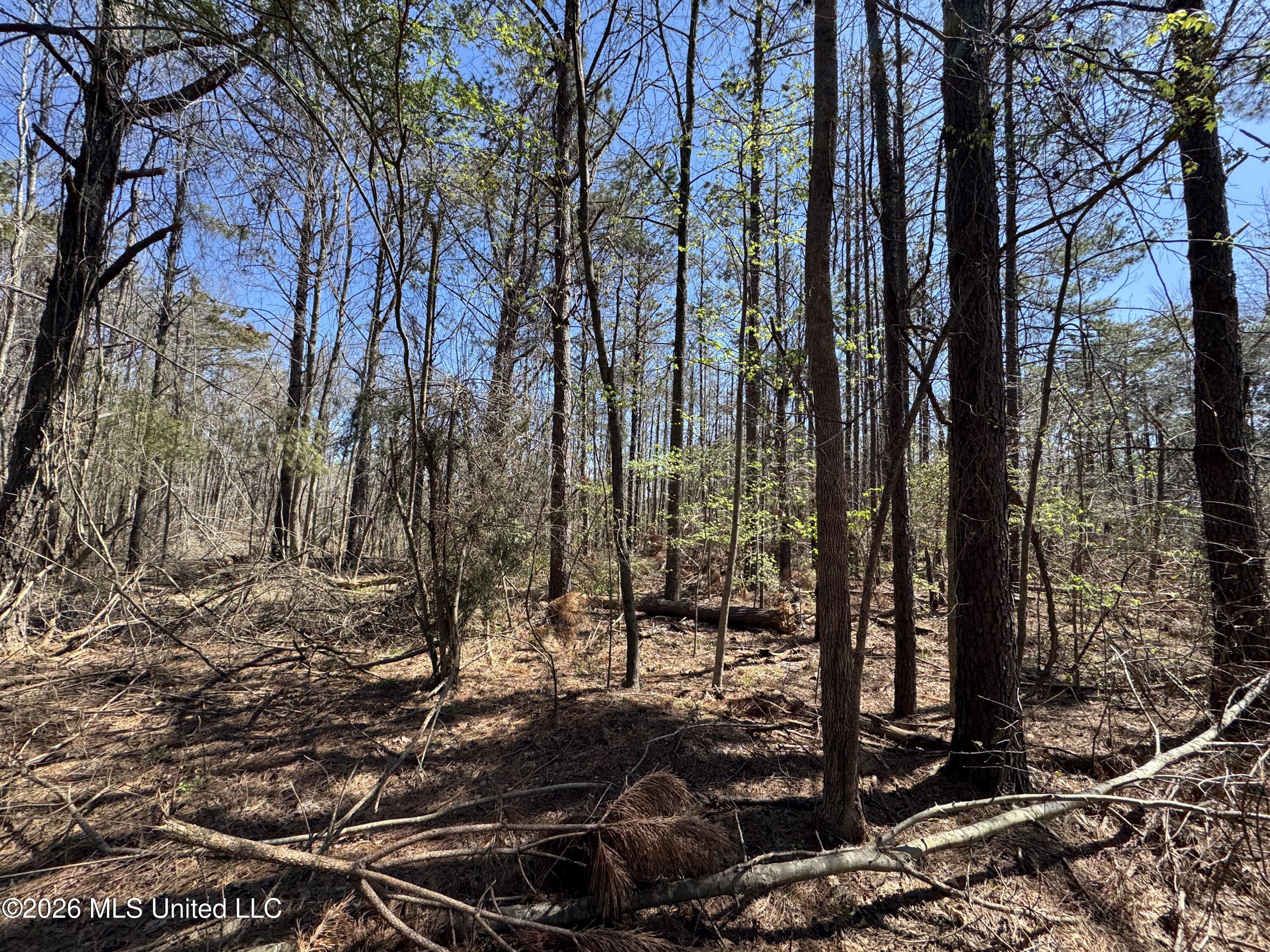 0 North Circle Road Lexington, MS 39095 - Photo 9 of 13 IMG_9312