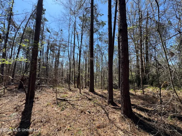 $63,750 | 0 North Circle Road, Lexington, MS 39095