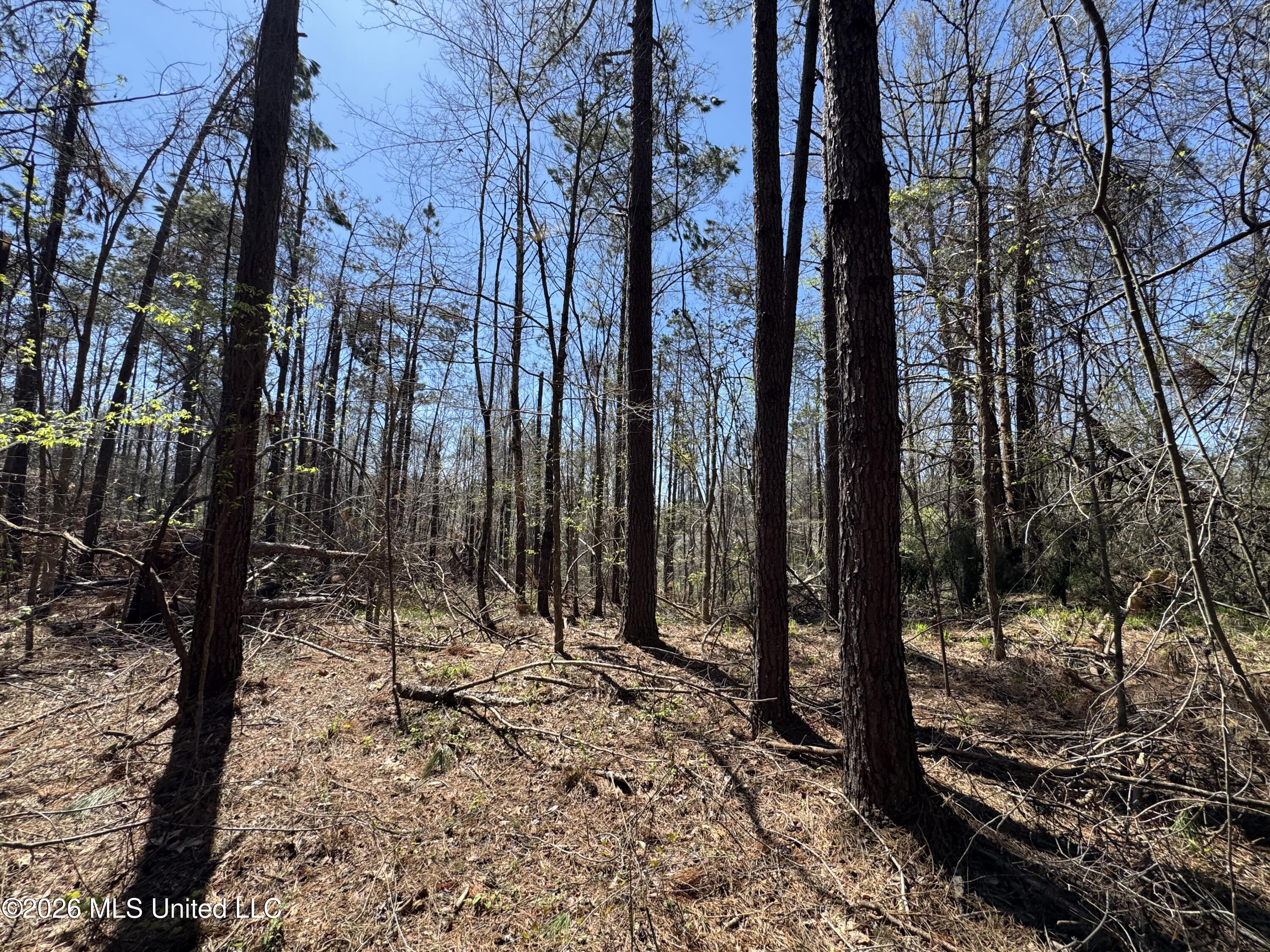 0 North Circle Road Lexington, MS 39095 - Photo 10 of 13 IMG_9311