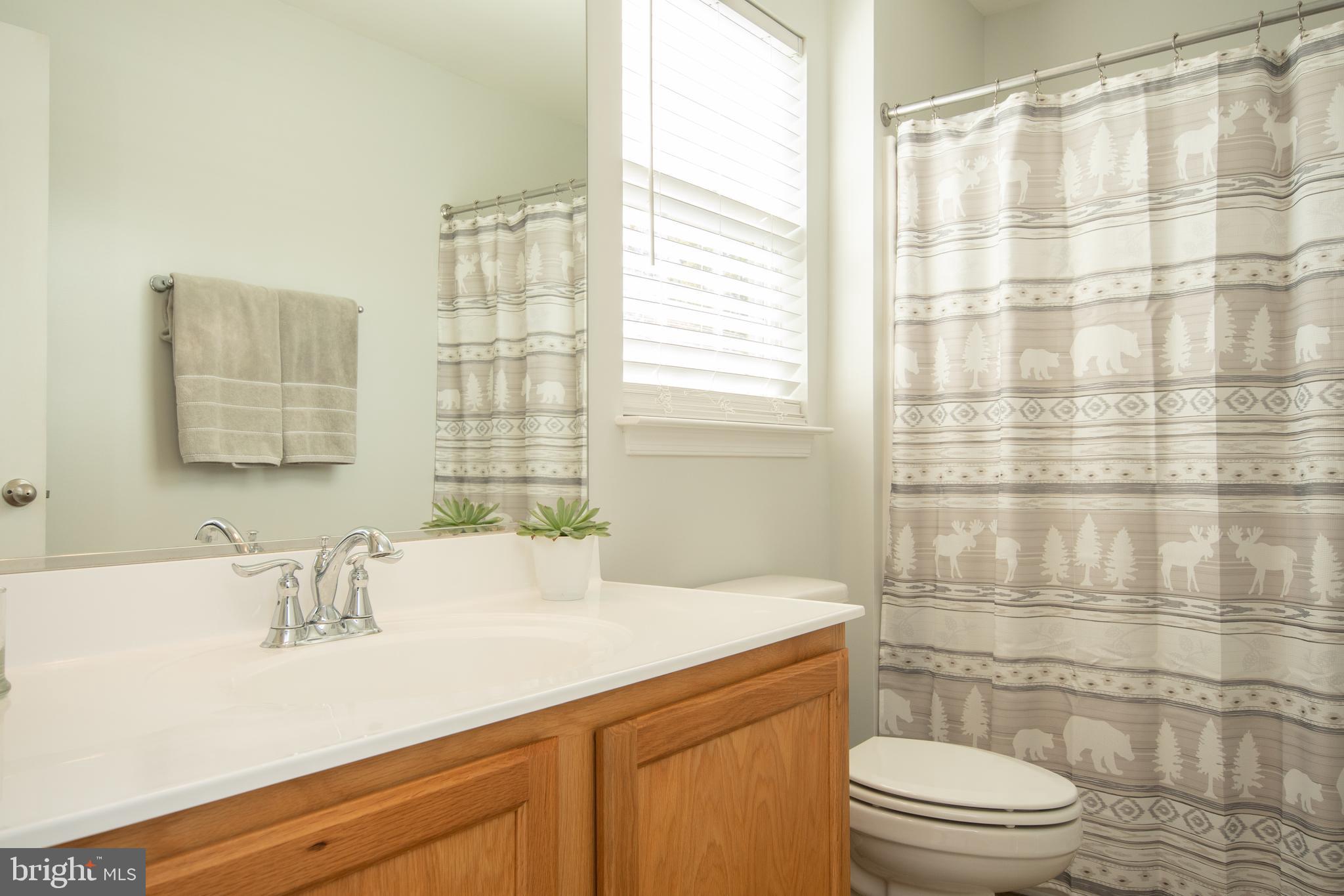 5123 True Blue Road Culpeper, VA 22701 - Photo 20 of 50 MASTER FULL BATHROOM