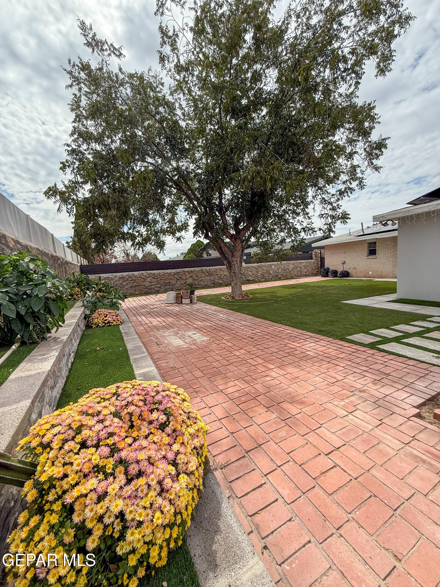 3112 Eads Place El Paso, TX 79935 - Photo 22 of 24 a view of a yard with plants and trees