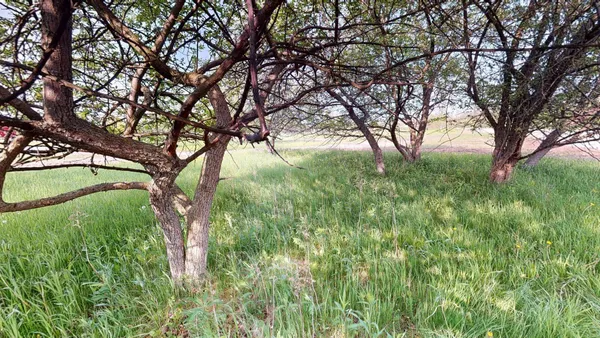 $68,900 | Two Rivers Wi 54241 Lane, Unit BLK5, Two Rivers, WI 54241