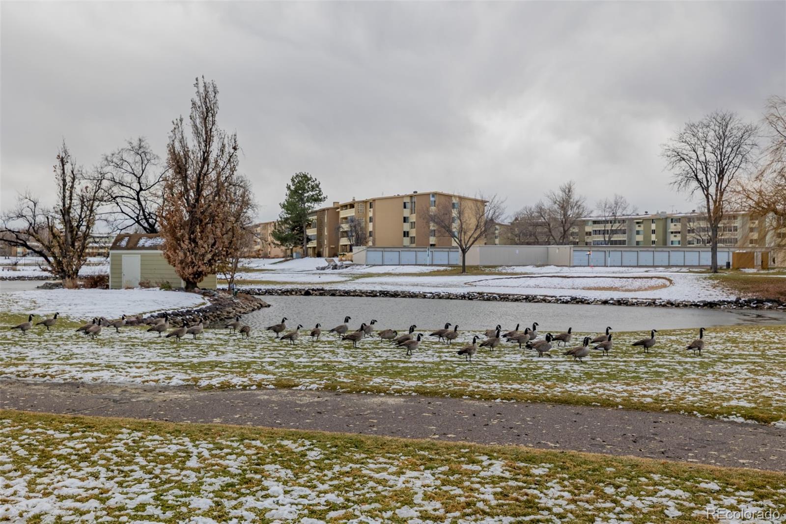 9340 Center Avenue, Unit 8A Denver, CO 80247 - Photo 6 of 50