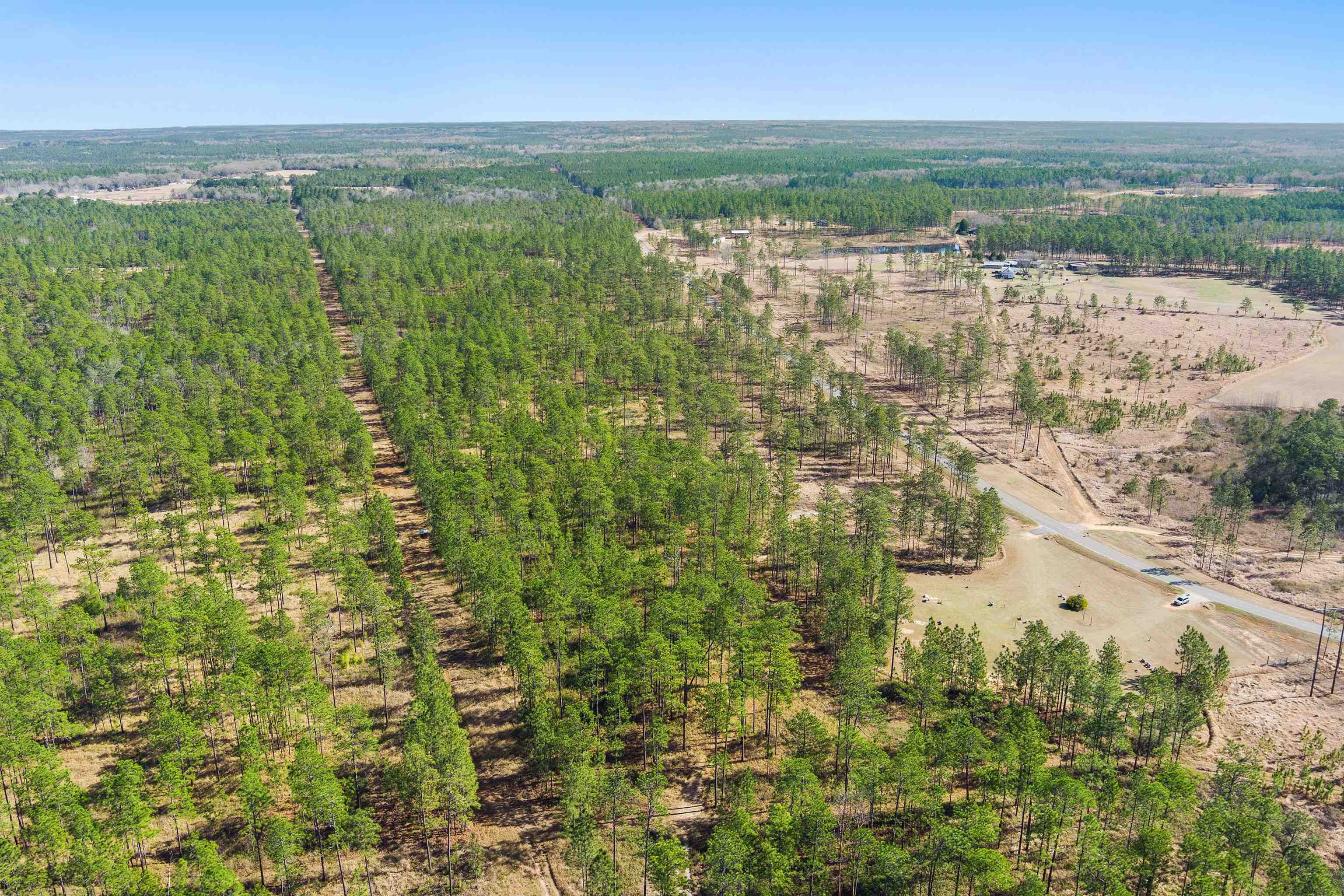0 Robert White Road Bay Minette, AL 36507 - Photo 16 of 23