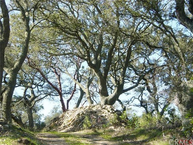 3 Old Creek Road Cayucos, CA 93430 - Photo 1 of 1 Gallery Image 1