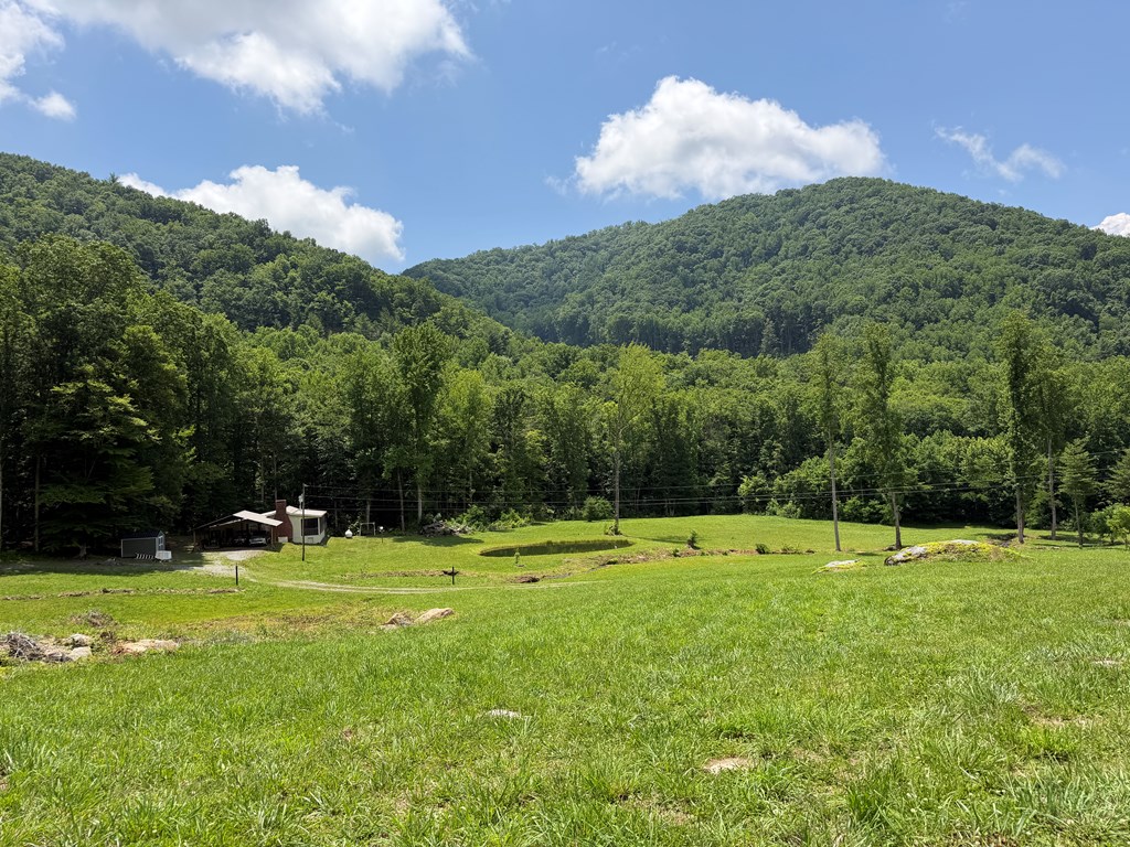 1446 Muskrat Creek Road Hayesville, NC 28904 - Photo 93 of 108
