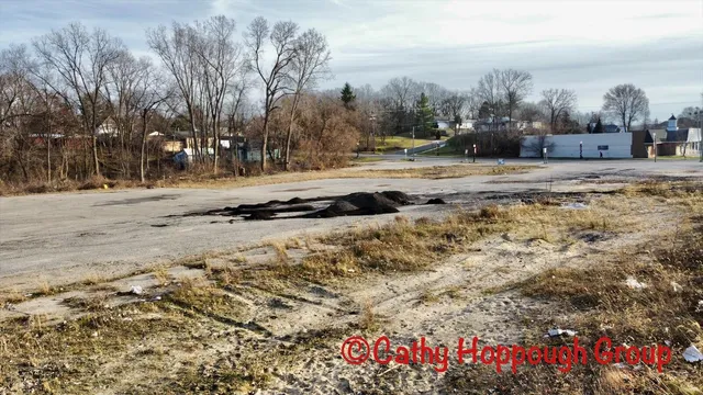 $499,000 | 428 West Lincoln Avenue, Ionia, MI 48846