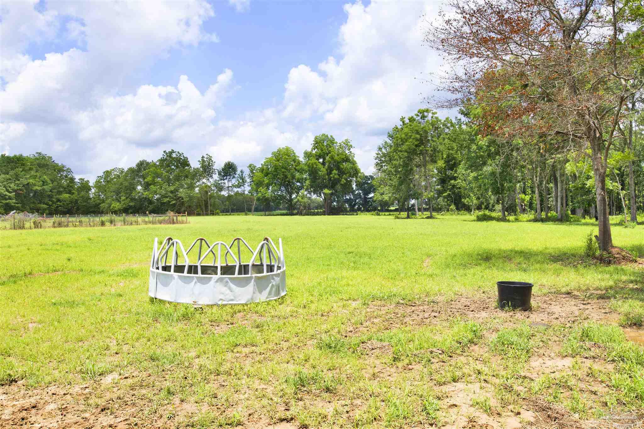 6594 Will Jones Road Jay, FL 32565 - Photo 32 of 39